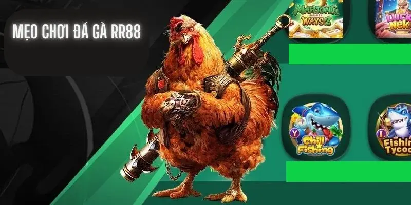 Chiến thuật chơi đá gà tại sàn chơi RR88 bất bại 
