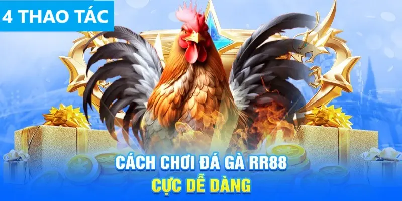 Chơi đá gà RR88 cực kỳ dễ dàng trong 4 bước