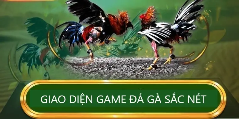 Giao diện đá gà RR88 dễ dùng, tân tiến