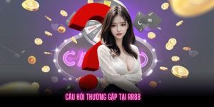 Câu Hỏi Thường Gặp RR88 - Giải Đáp Chi Tiết Cho Thành Viên Mới